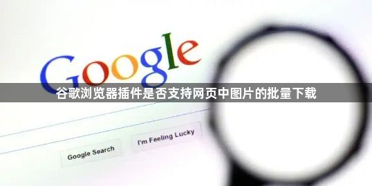 谷歌浏览器插件是否支持网页中图片的批量下载1