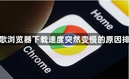 谷歌浏览器下载速度突然变慢的原因排查1