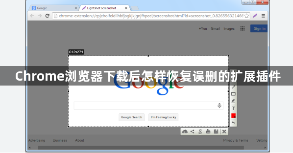 Chrome浏览器下载后怎样恢复误删的扩展插件1