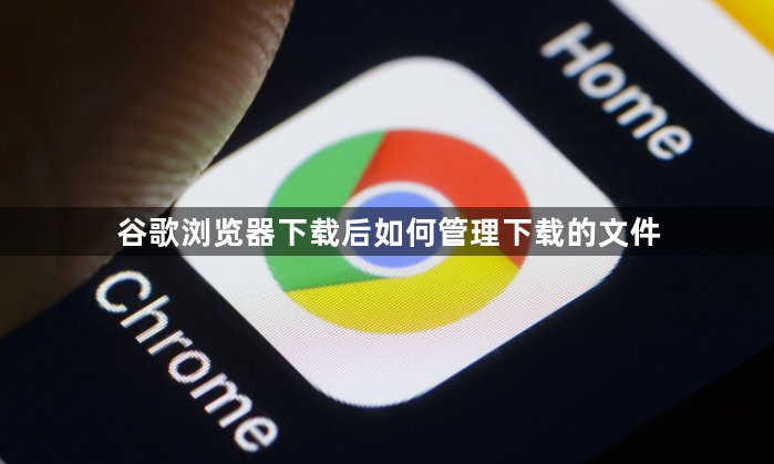 谷歌浏览器下载后如何管理下载的文件1