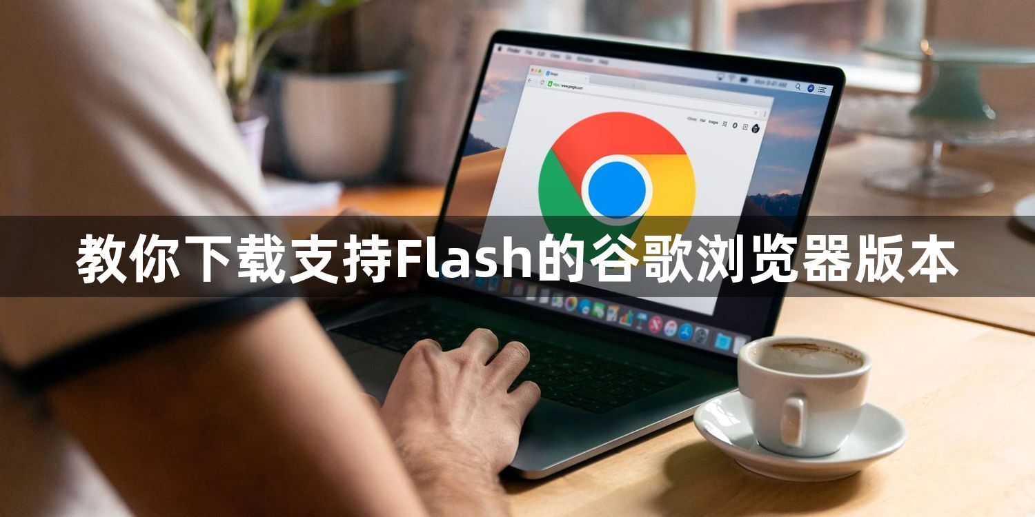 教你下载支持Flash的谷歌浏览器版本1