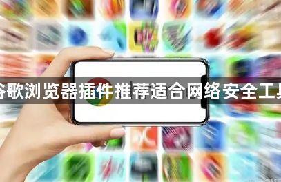 谷歌浏览器插件推荐适合网络安全工具1