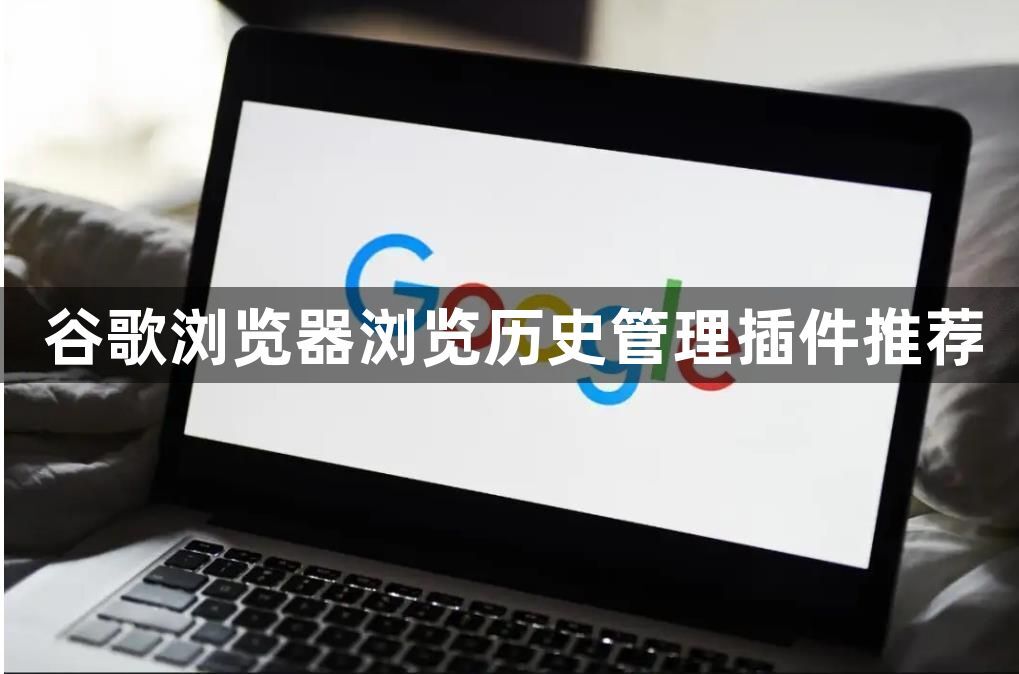 谷歌浏览器浏览历史管理插件推荐1