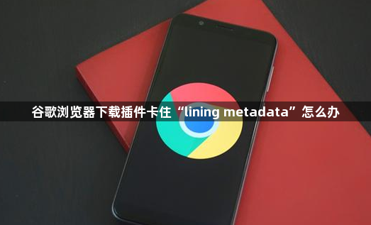 谷歌浏览器下载插件卡住“lining metadata”怎么办1