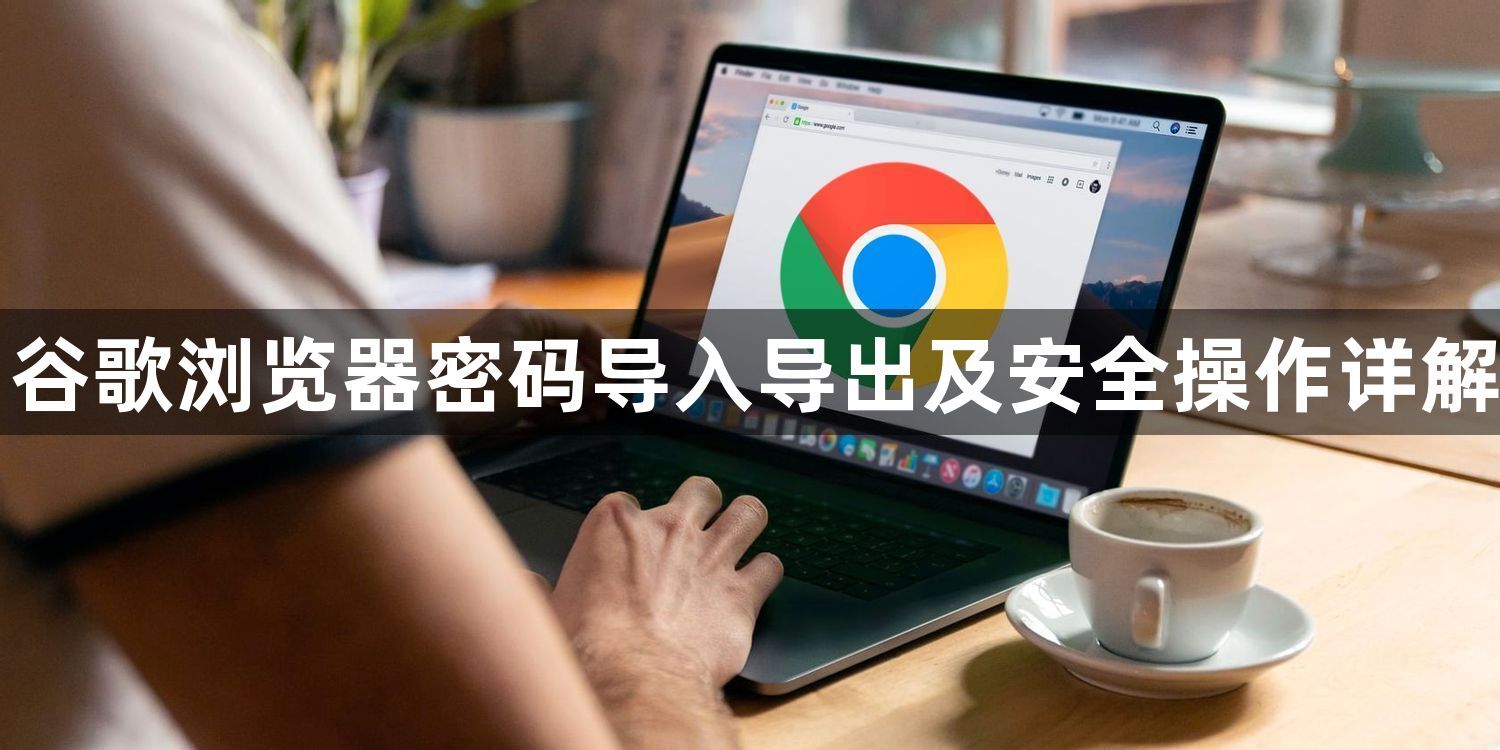 谷歌浏览器密码导入导出及安全操作详解1
