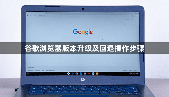 谷歌浏览器版本升级及回退操作步骤1