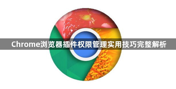 Chrome浏览器插件权限管理实用技巧完整解析1