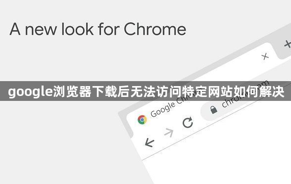 google浏览器下载后无法访问特定网站如何解决1