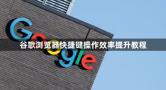 谷歌浏览器快捷键操作效率提升教程1