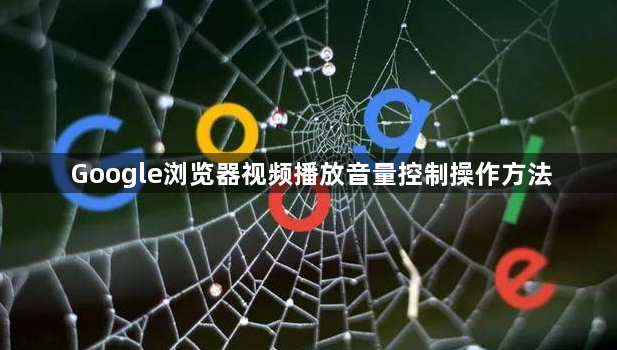 Google浏览器视频播放音量控制操作方法1