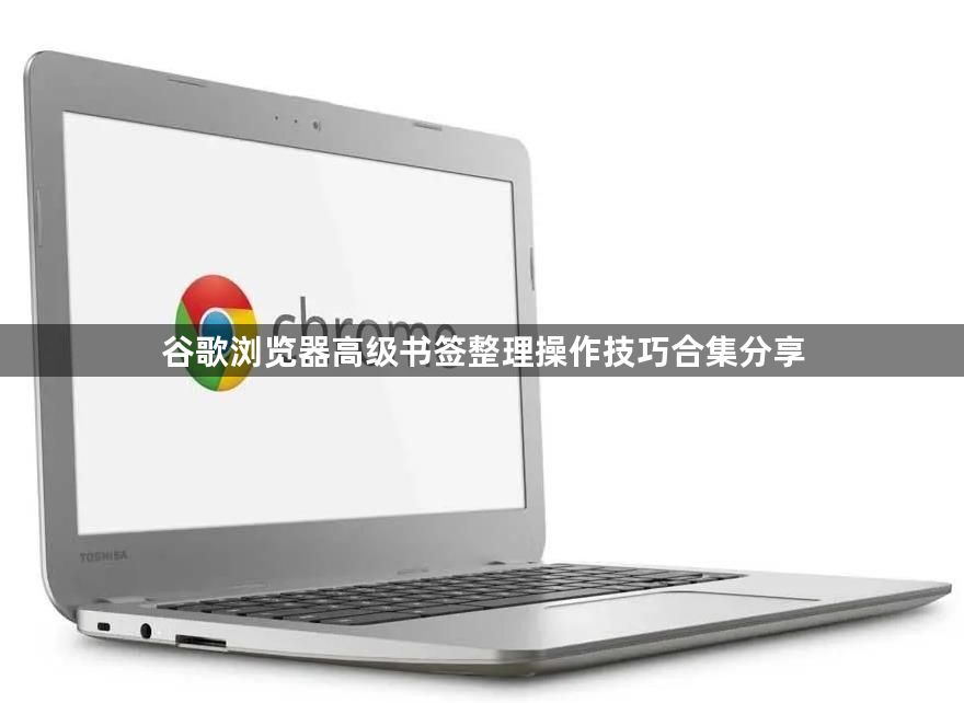 谷歌浏览器高级书签整理操作技巧合集分享1