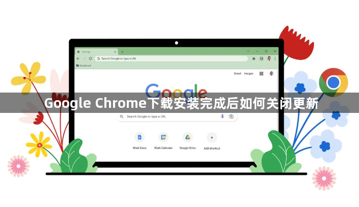 Google Chrome下载安装完成后如何关闭更新1