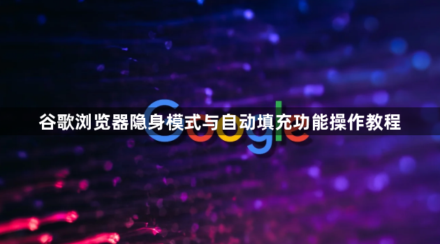 谷歌浏览器隐身模式与自动填充功能操作教程1