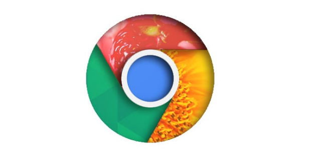 google Chrome浏览器快速安装经验分享