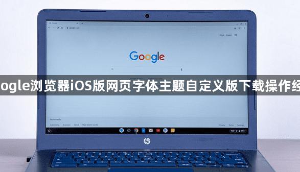 google浏览器iOS版网页字体主题自定义版下载操作经验1