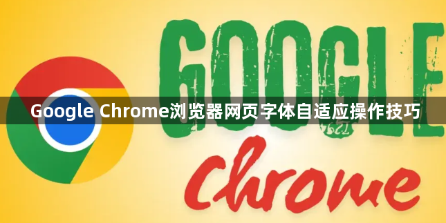Google Chrome浏览器网页字体自适应操作技巧1
