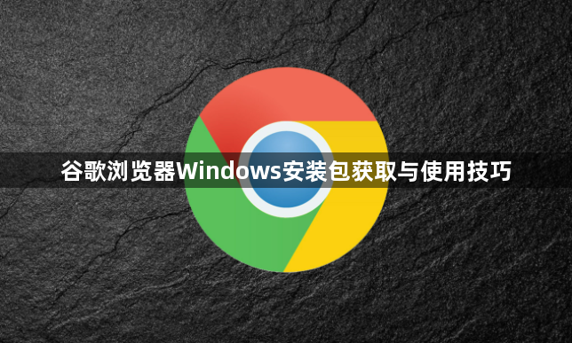 谷歌浏览器Windows安装包获取与使用技巧1