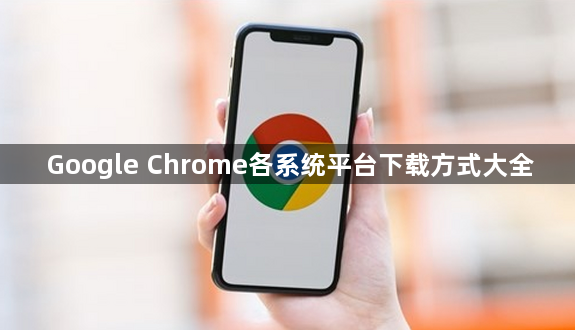Google Chrome各系统平台下载方式大全1